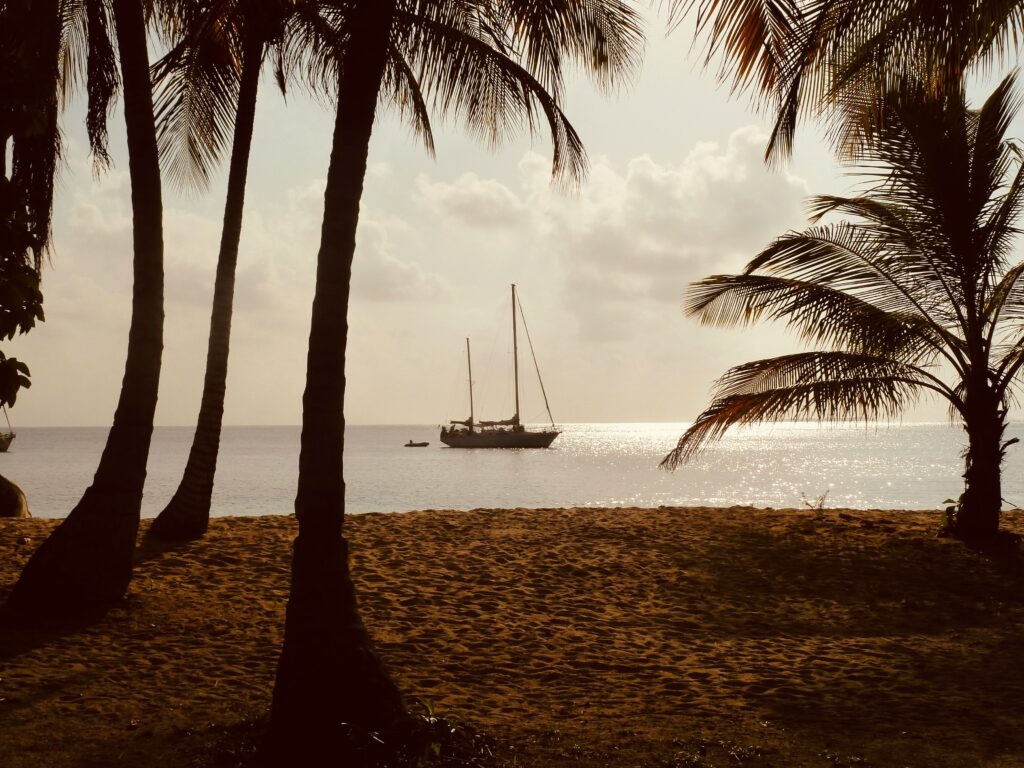 Gap Year and Unpaid Leave: What Do You Need to Know as an Employer?